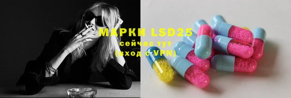 хмурый Алзамай